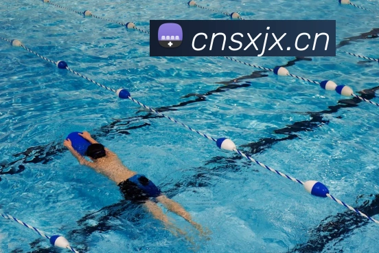 星空体育中国官方网站平台生态图